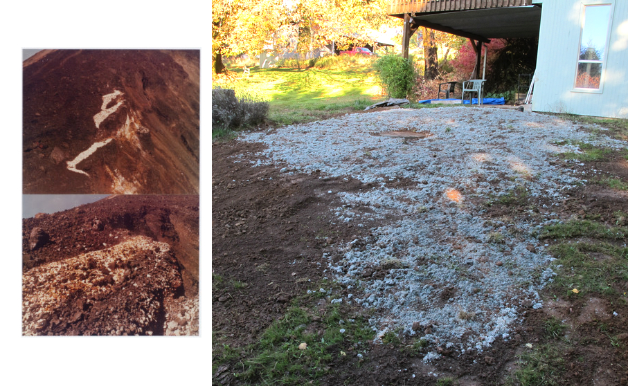 (l) peter hutchinson - paricutin volcano, 1970 / (r) j newton . grass seed mulch at the farm, 2013